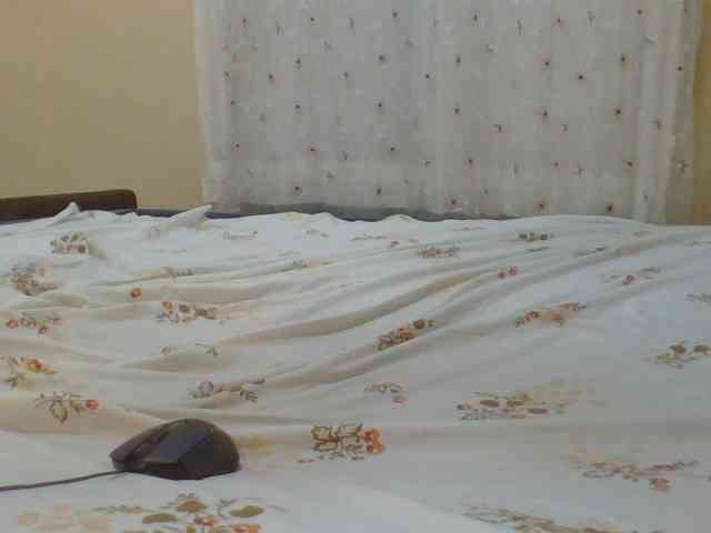 Shantell webcam