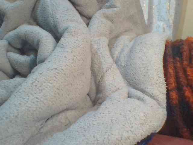 Shantell webcam