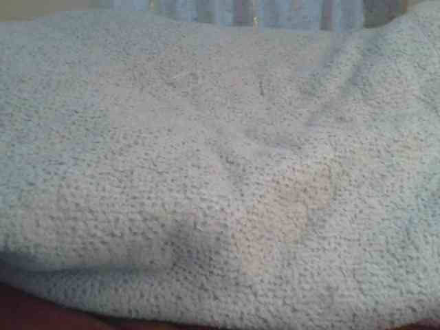 Shantell webcam
