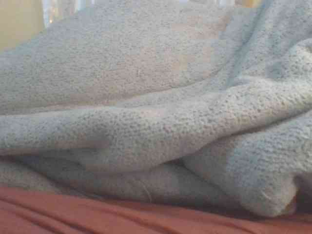 Shantell