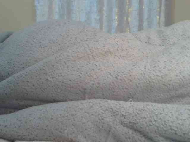 Shantell webcam