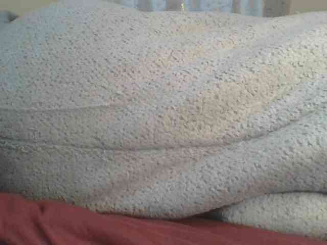 Shantell webcam