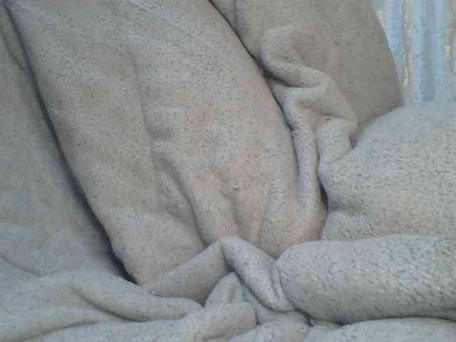 Shantell webcam