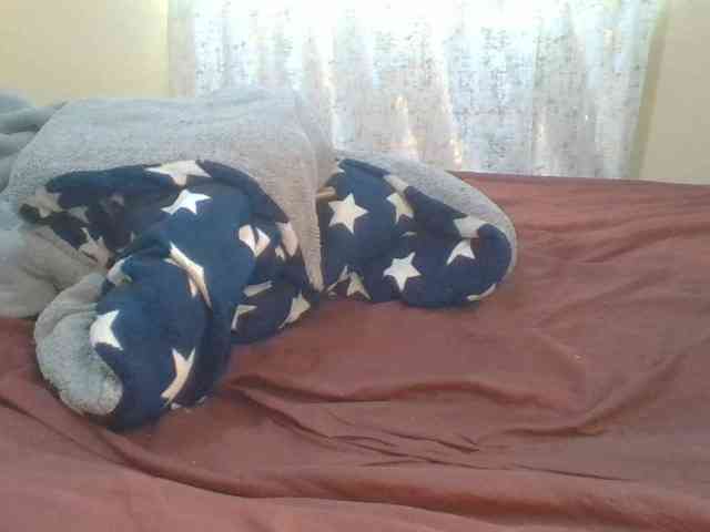 Shantell webcam