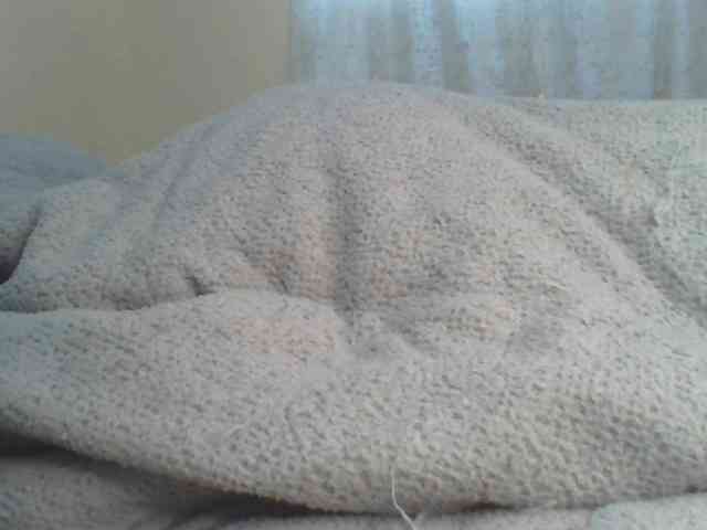 Shantell webcam