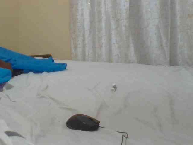 Shantell webcam