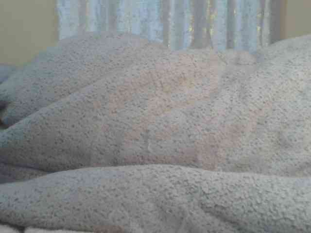 Shantell webcam
