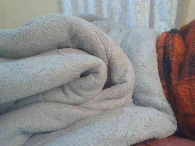 Shantell webcam