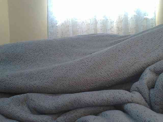 Shantell webcam