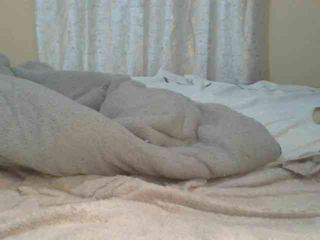 Shantell webcam