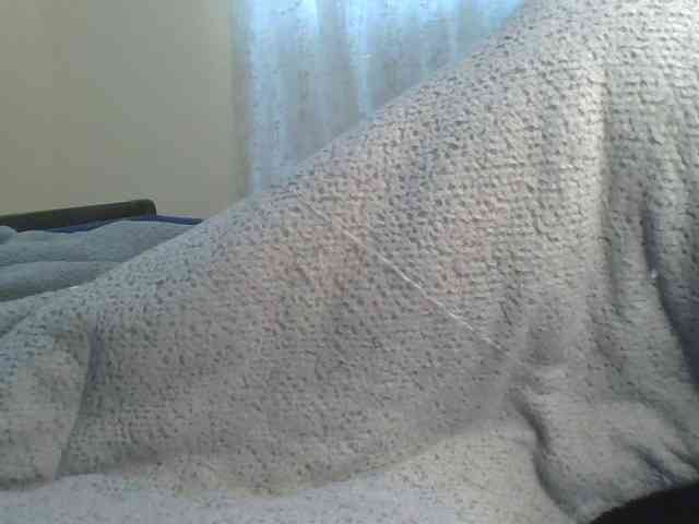 Shantell webcam