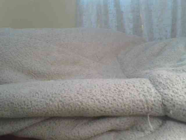 Shantell webcam