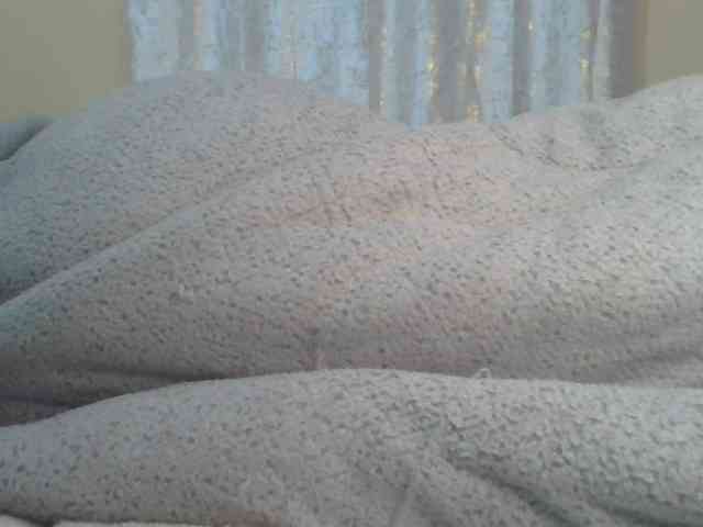 Shantell webcam