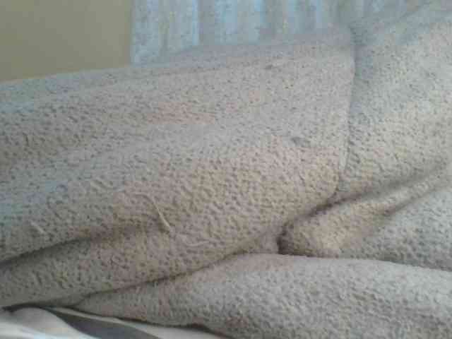 Shantell webcam