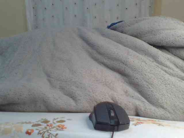 Shantell webcam