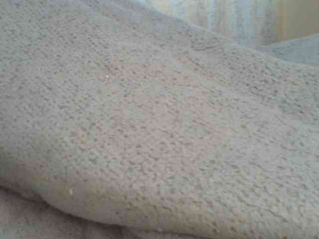 Shantell webcam