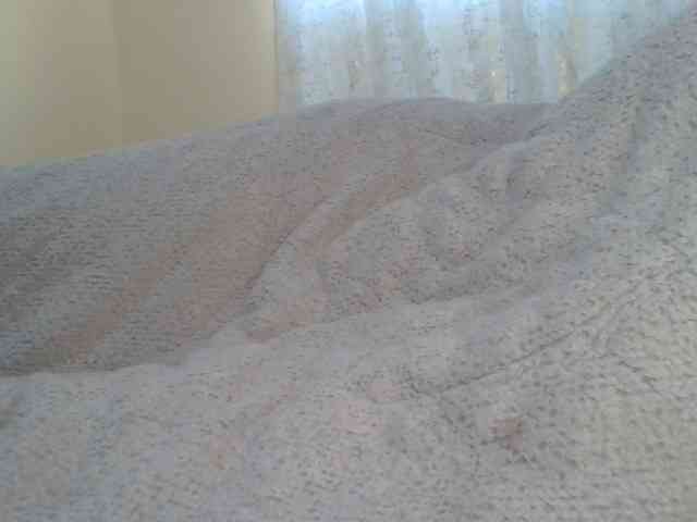 Shantell Sex Cam Show