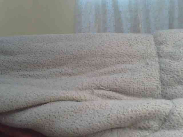 Shantell webcam