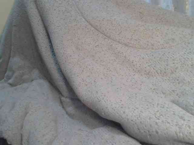 Shantell webcam