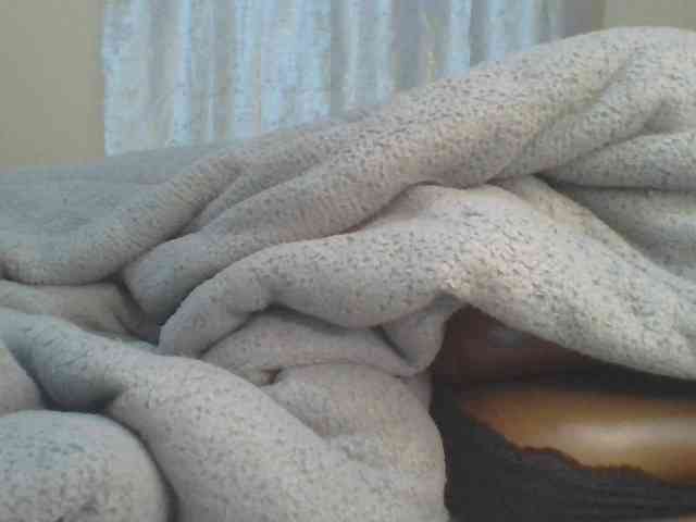 Shantell webcam