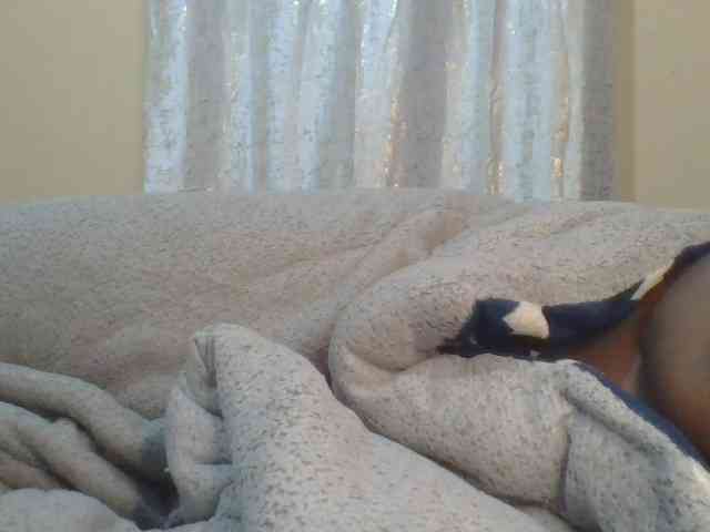 Shantell webcam