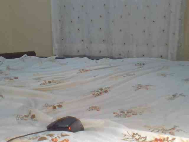 Shantell webcam