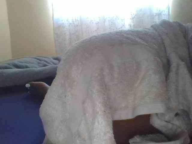 Shantell webcam
