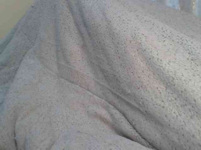 Shantell webcam