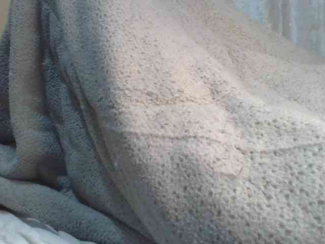 Shantell webcam
