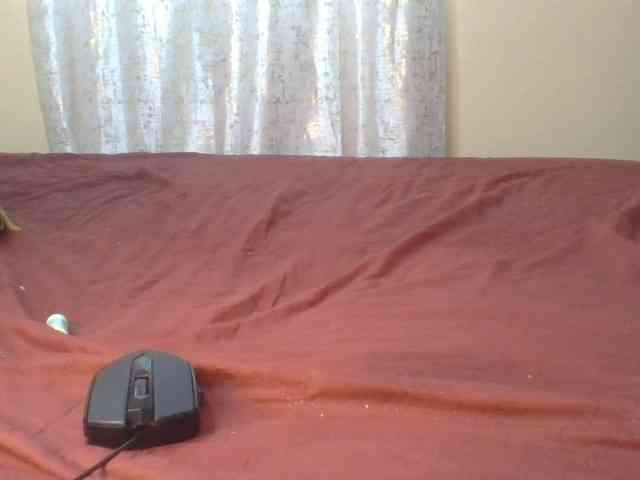 Shantell webcam