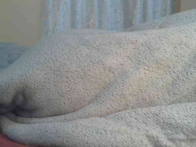 Shantell webcam