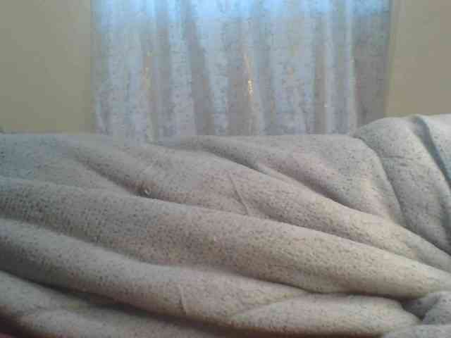 Shantell webcam