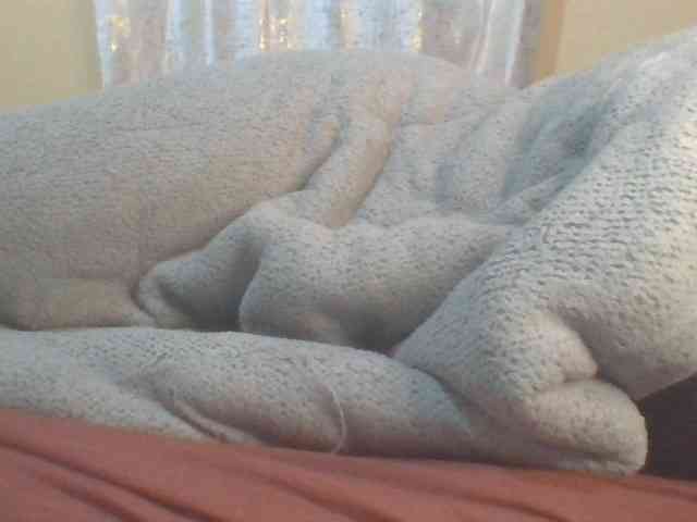 Shantell webcam