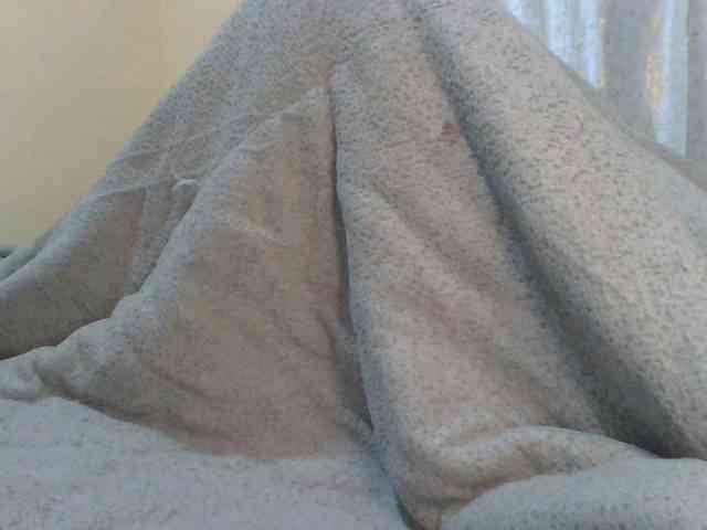 Shantell webcam