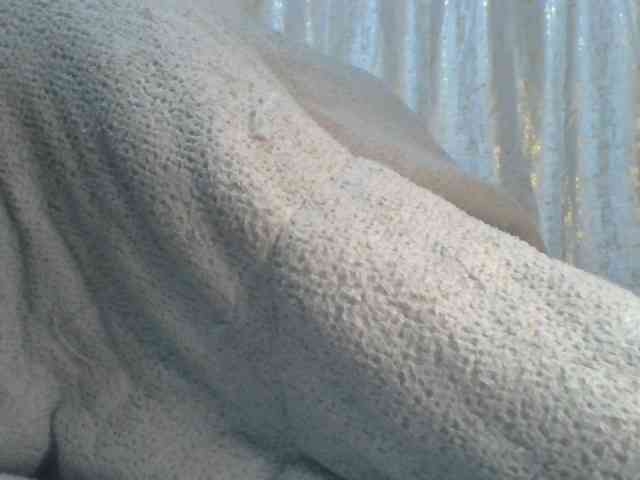 Shantell webcam