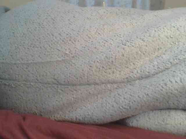 Shantell webcam