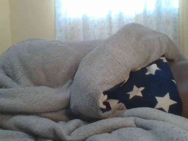 Shantell webcam