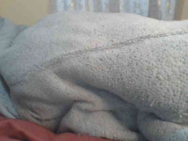 Shantell webcam