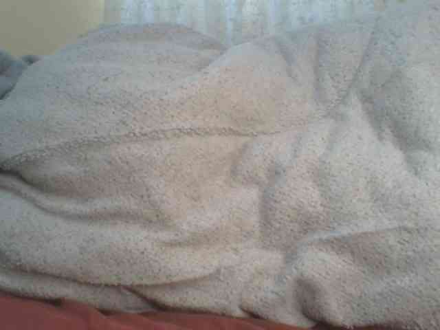Shantell webcam