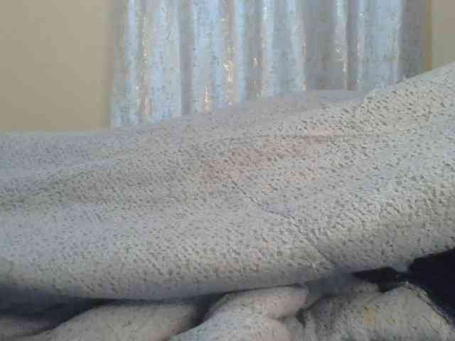 Shantell webcam