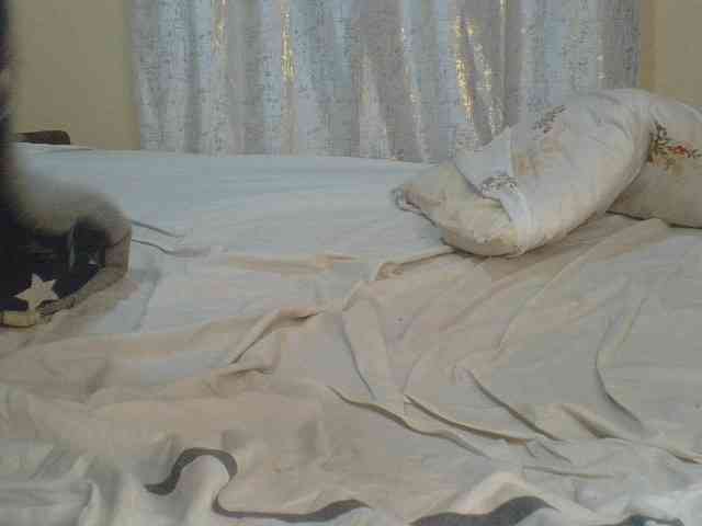 Shantell webcam