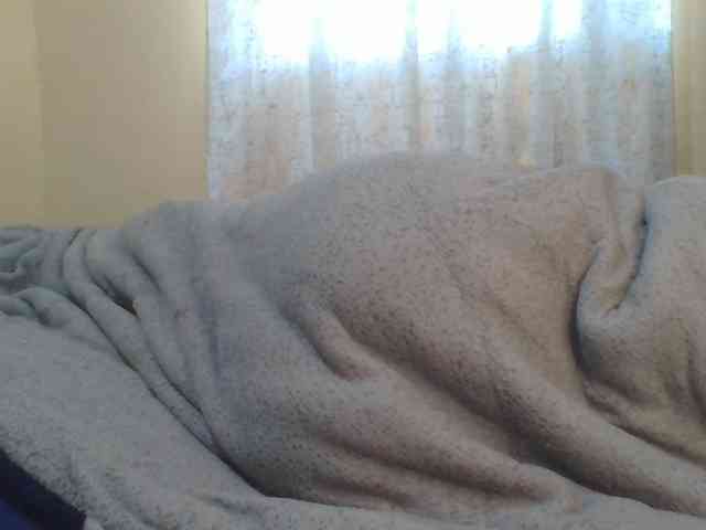 Shantell webcam