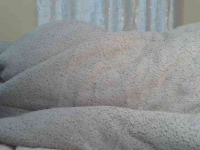 Shantell webcam