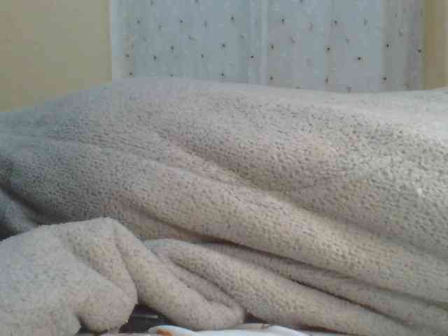 Shantell webcam