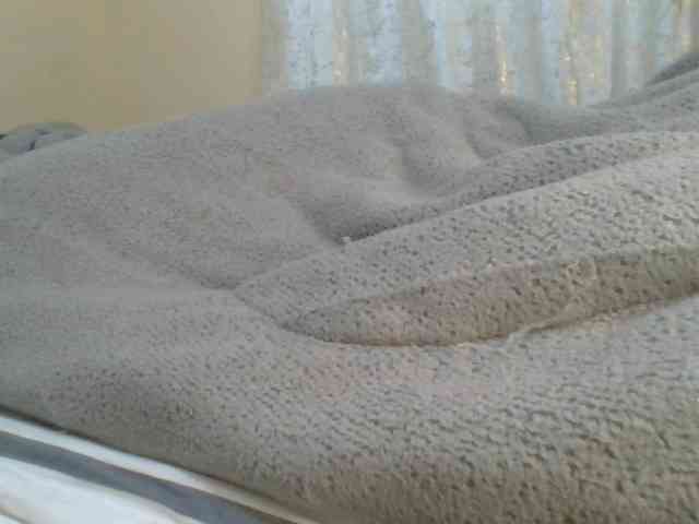 Shantell webcam