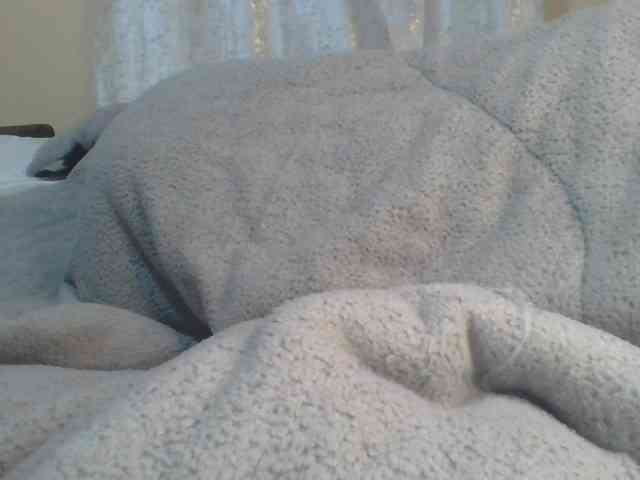 Shantell webcam
