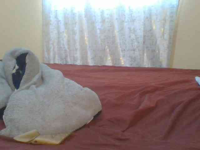 Shantell webcam