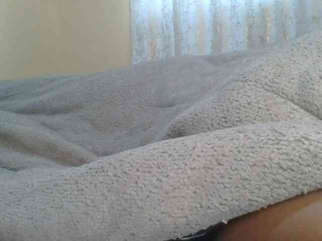 Shantell webcam