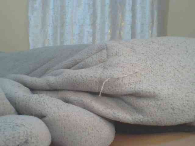 Shantell webcam