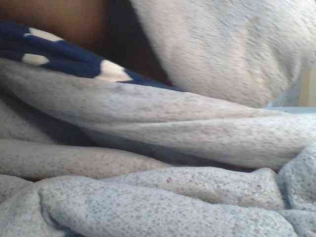 Shantell webcam